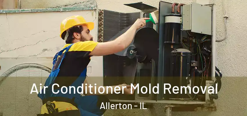  Air Conditioner Mold Removal Allerton - IL