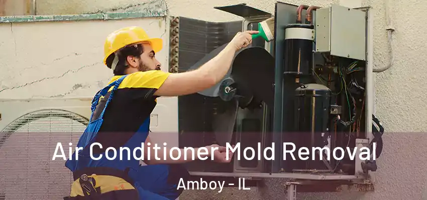  Air Conditioner Mold Removal Amboy - IL