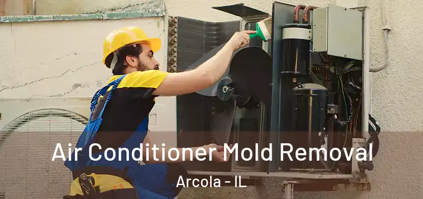 Air Conditioner Mold Removal Arcola - IL