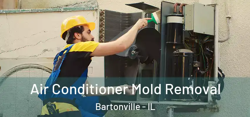  Air Conditioner Mold Removal Bartonville - IL