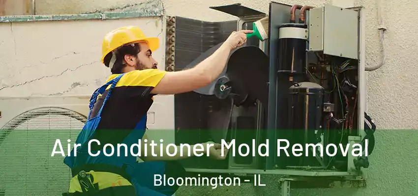  Air Conditioner Mold Removal Bloomington - IL