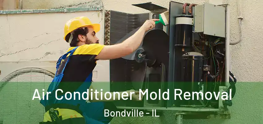  Air Conditioner Mold Removal Bondville - IL