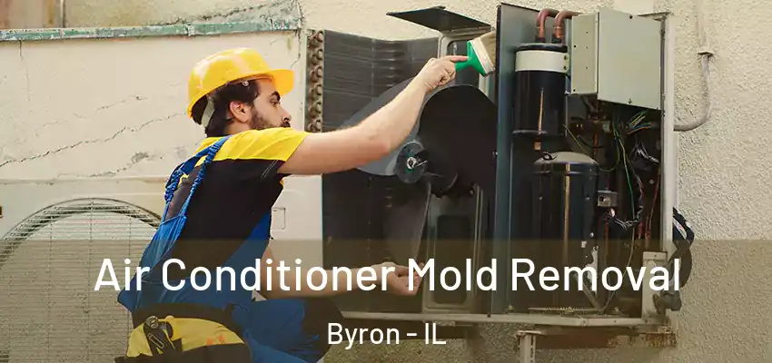  Air Conditioner Mold Removal Byron - IL
