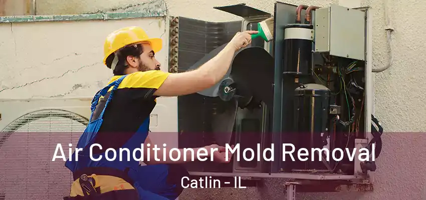  Air Conditioner Mold Removal Catlin - IL