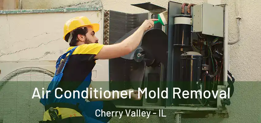  Air Conditioner Mold Removal Cherry Valley - IL