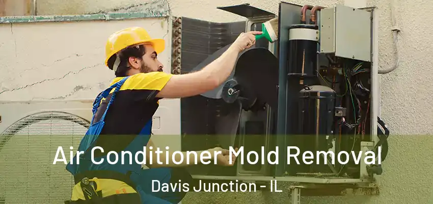  Air Conditioner Mold Removal Davis Junction - IL