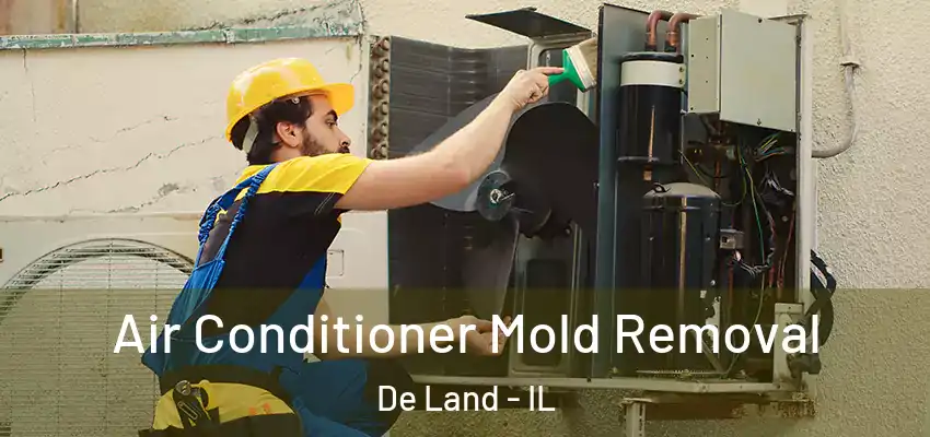  Air Conditioner Mold Removal De Land - IL