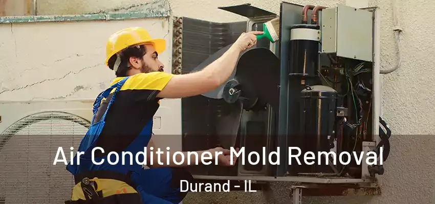  Air Conditioner Mold Removal Durand - IL