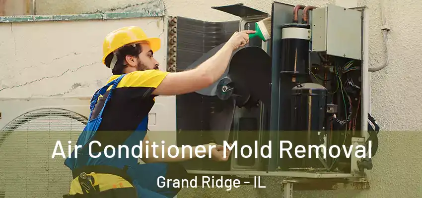  Air Conditioner Mold Removal Grand Ridge - IL