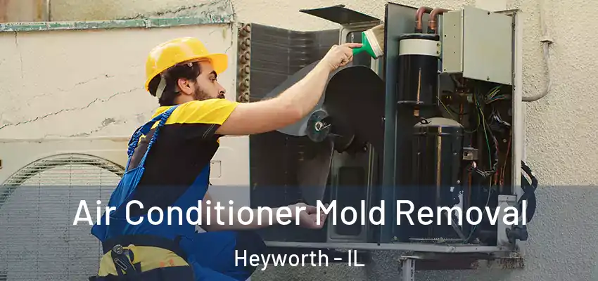  Air Conditioner Mold Removal Heyworth - IL