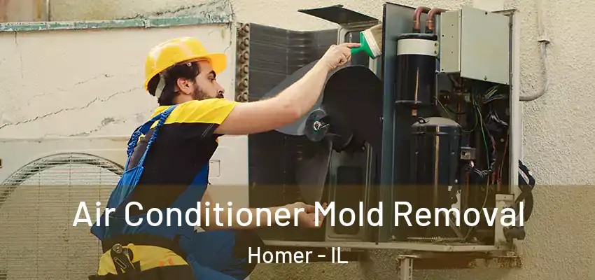 Air Conditioner Mold Removal Homer - IL