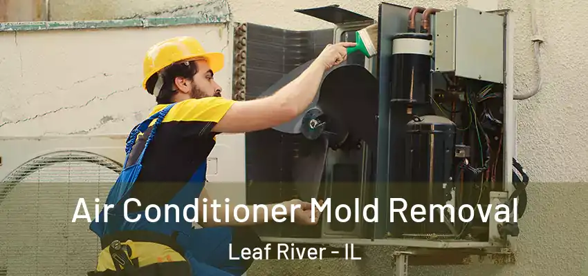  Air Conditioner Mold Removal Leaf River - IL