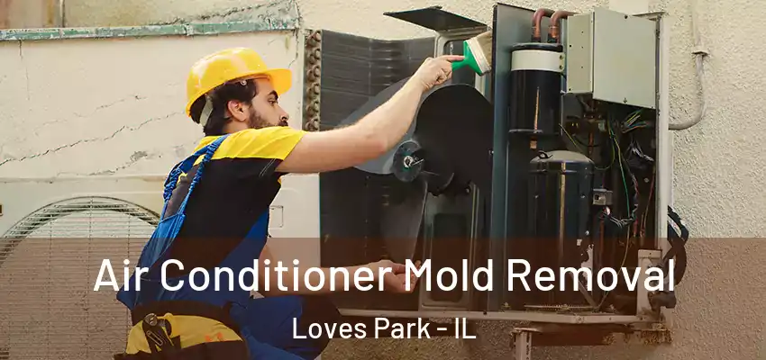  Air Conditioner Mold Removal Loves Park - IL