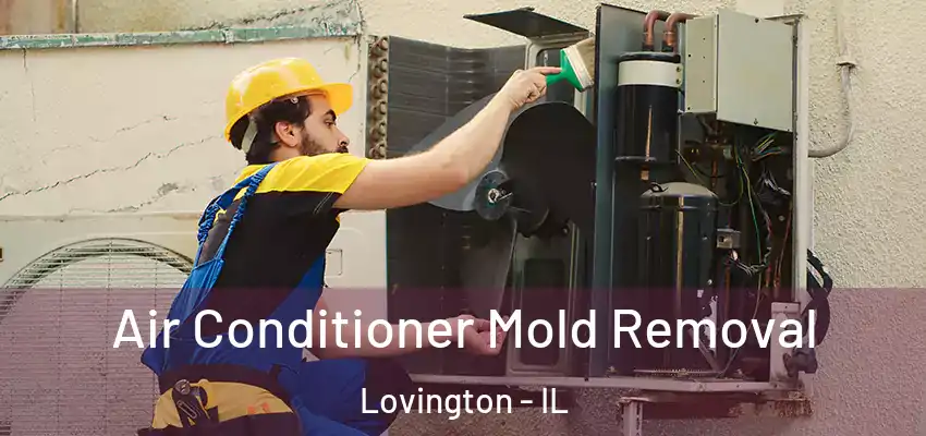  Air Conditioner Mold Removal Lovington - IL