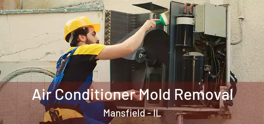  Air Conditioner Mold Removal Mansfield - IL