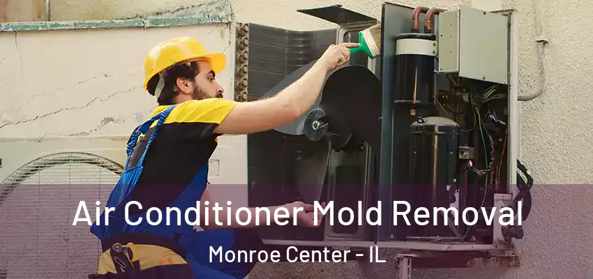  Air Conditioner Mold Removal Monroe Center - IL