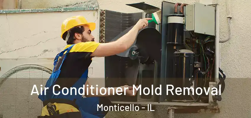  Air Conditioner Mold Removal Monticello - IL