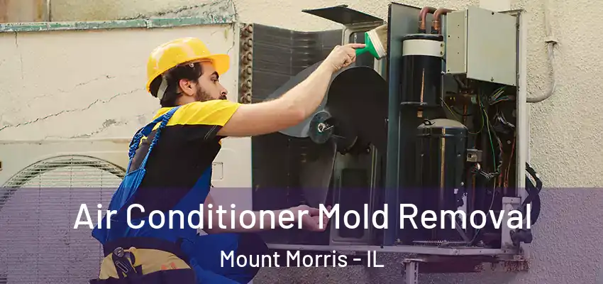  Air Conditioner Mold Removal Mount Morris - IL