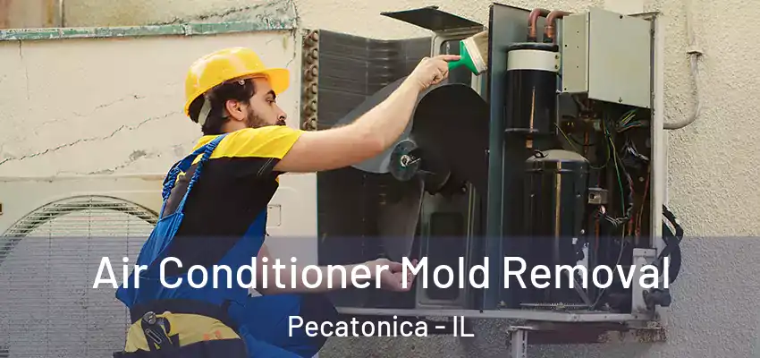 Air Conditioner Mold Removal Pecatonica - IL