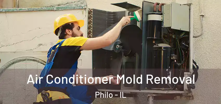 Air Conditioner Mold Removal Philo - IL