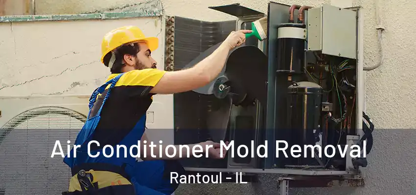  Air Conditioner Mold Removal Rantoul - IL
