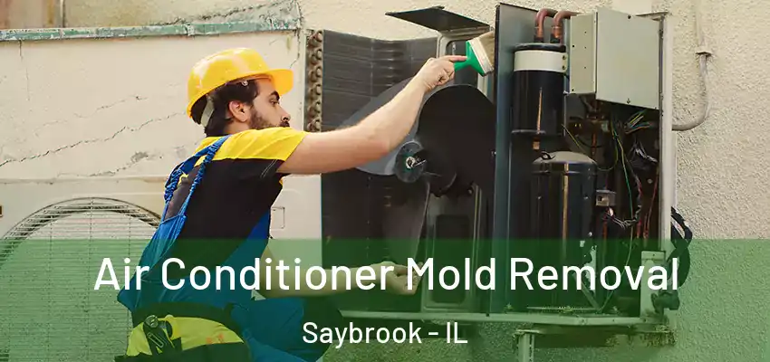  Air Conditioner Mold Removal Saybrook - IL