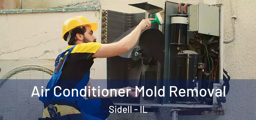  Air Conditioner Mold Removal Sidell - IL