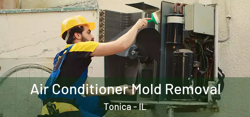  Air Conditioner Mold Removal Tonica - IL