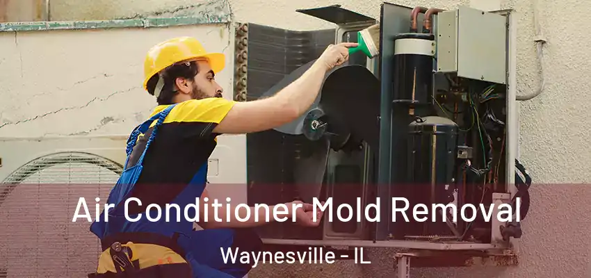  Air Conditioner Mold Removal Waynesville - IL