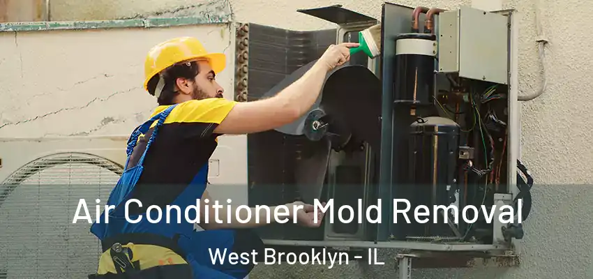  Air Conditioner Mold Removal West Brooklyn - IL