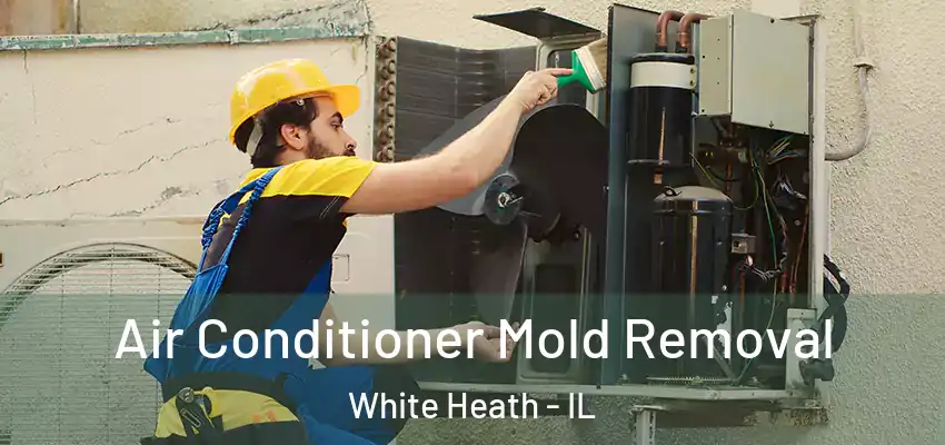  Air Conditioner Mold Removal White Heath - IL