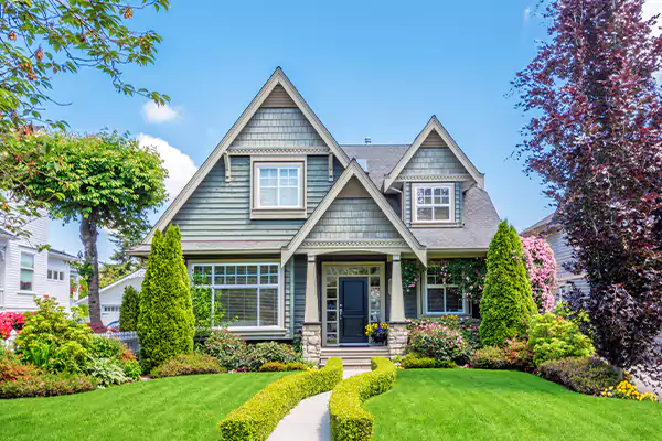 Black Mold Clean Up in Bloomington, IL