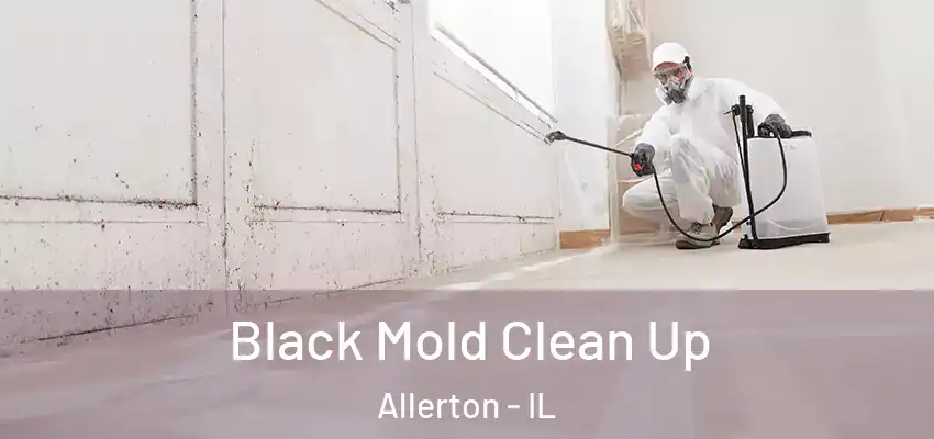  Black Mold Clean Up Allerton - IL