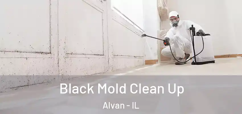 Black Mold Clean Up Alvan - IL