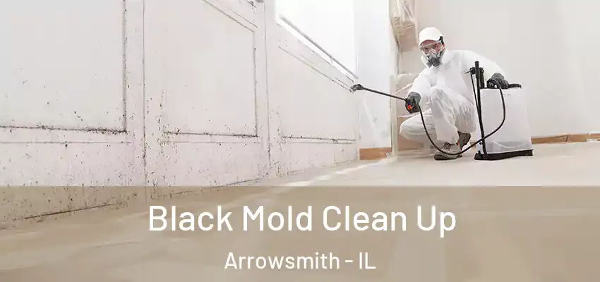 Black Mold Clean Up Arrowsmith - IL