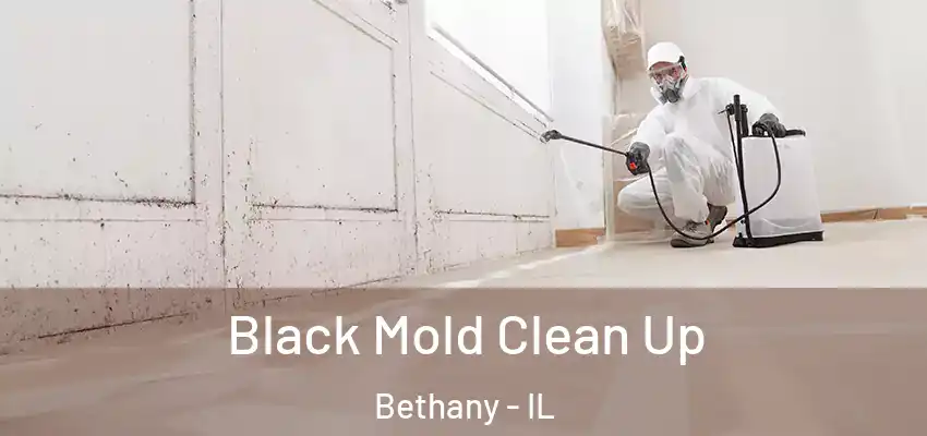  Black Mold Clean Up Bethany - IL