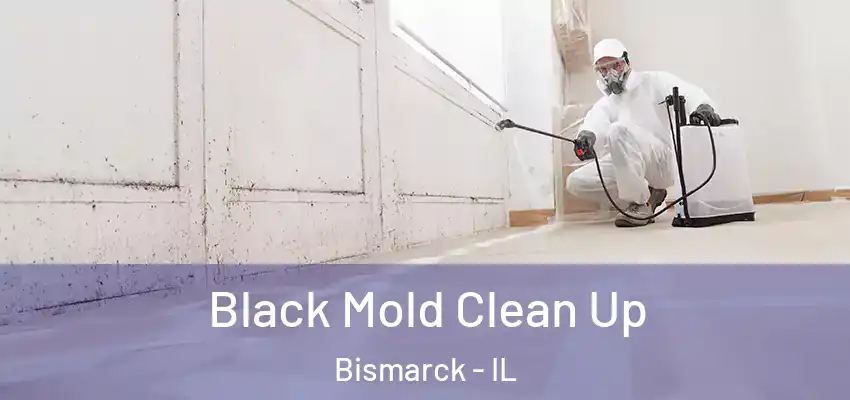  Black Mold Clean Up Bismarck - IL