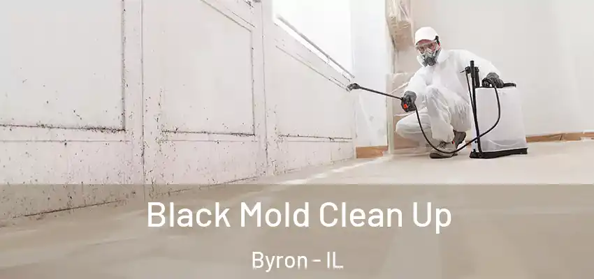  Black Mold Clean Up Byron - IL