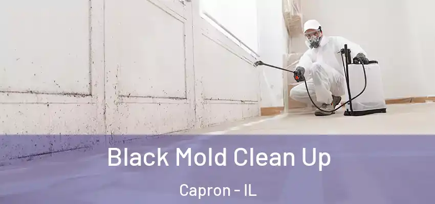  Black Mold Clean Up Capron - IL
