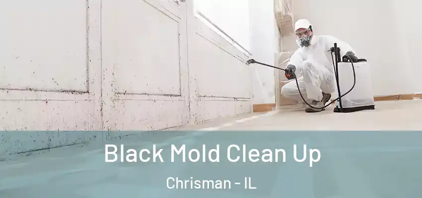  Black Mold Clean Up Chrisman - IL