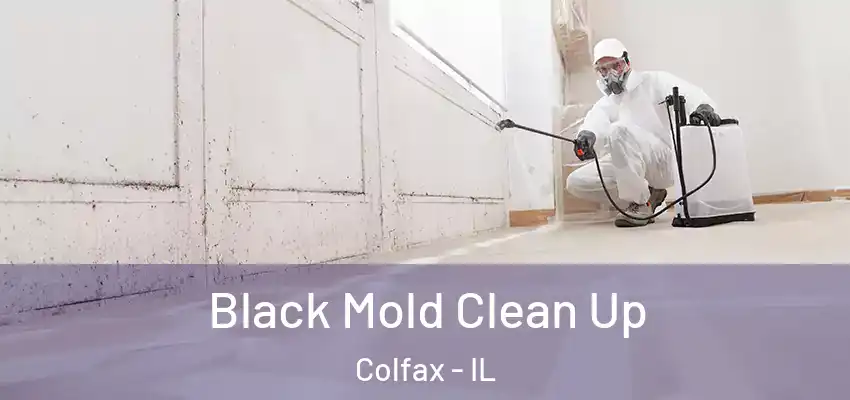  Black Mold Clean Up Colfax - IL
