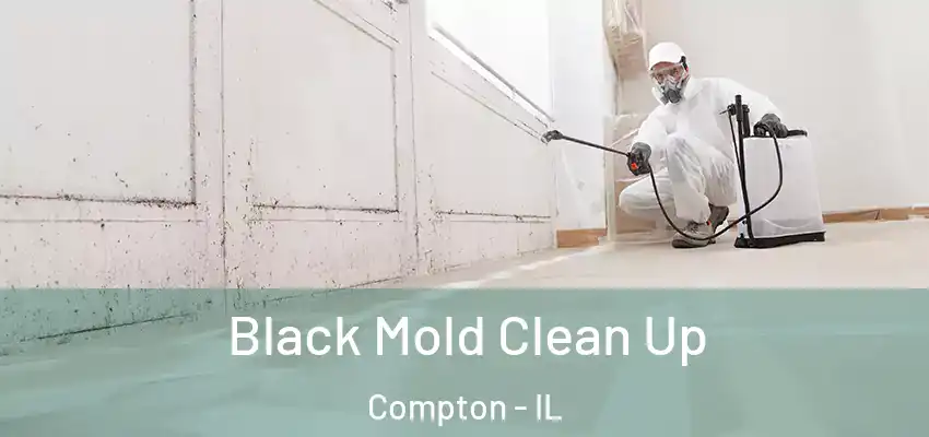  Black Mold Clean Up Compton - IL