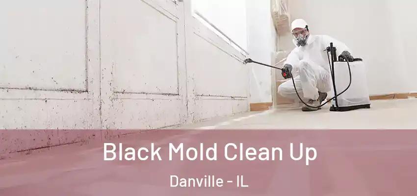  Black Mold Clean Up Danville - IL