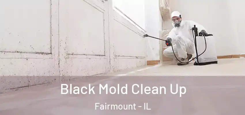  Black Mold Clean Up Fairmount - IL