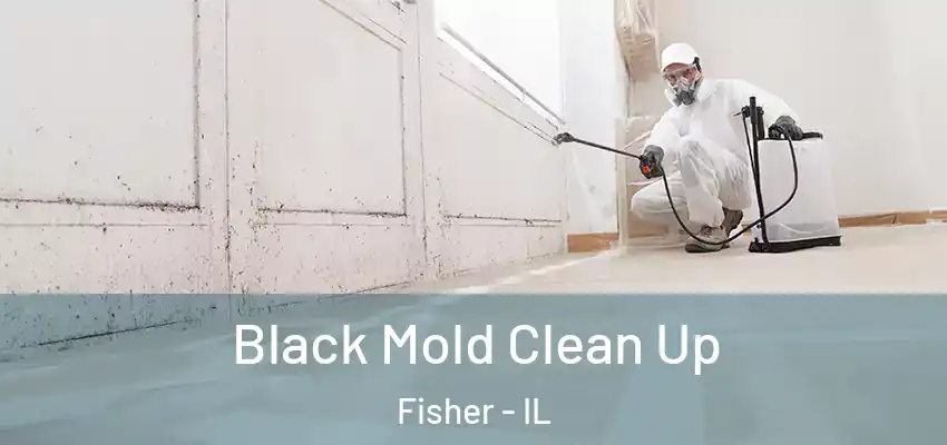  Black Mold Clean Up Fisher - IL