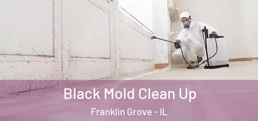  Black Mold Clean Up Franklin Grove - IL