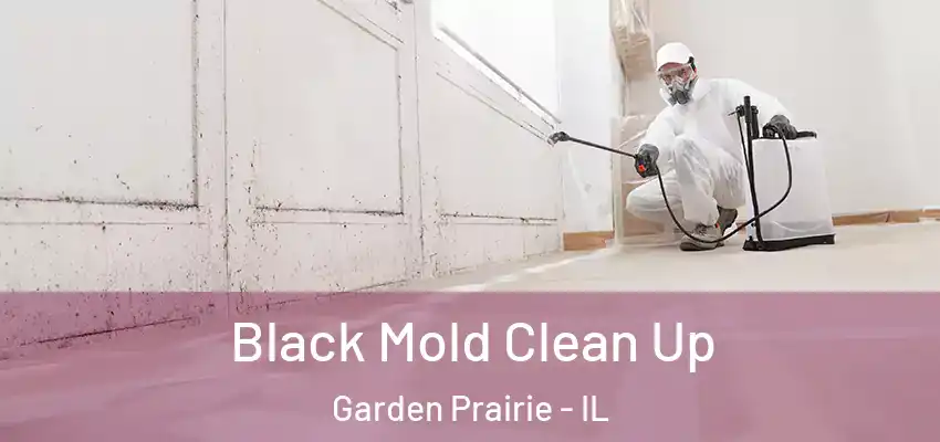  Black Mold Clean Up Garden Prairie - IL