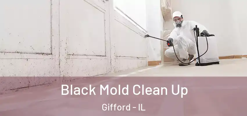  Black Mold Clean Up Gifford - IL