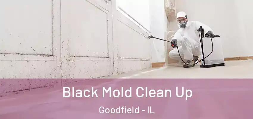  Black Mold Clean Up Goodfield - IL