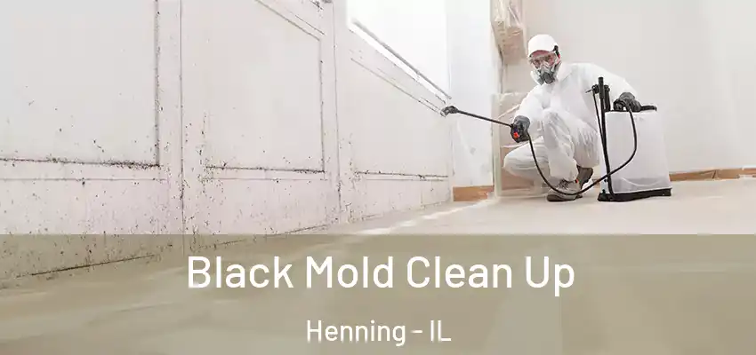  Black Mold Clean Up Henning - IL